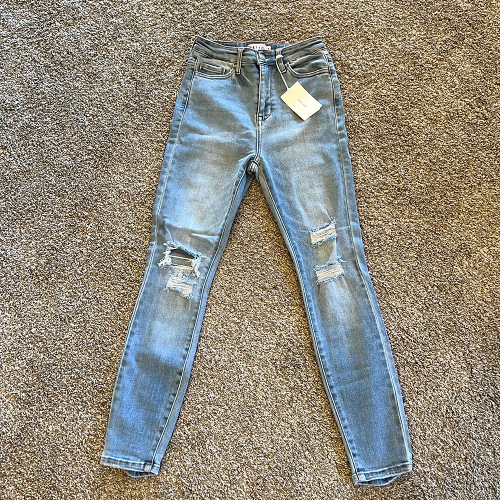 Brand New Cello Jeans